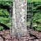 Garden Zone Garden Craft 28 in. H X 50 ft. L Galvanized Steel Welded Wire Fence 342850 - alternate 4